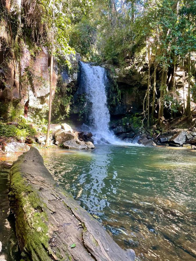 Mountain Studio Escape Mount Tamborine Esterno foto