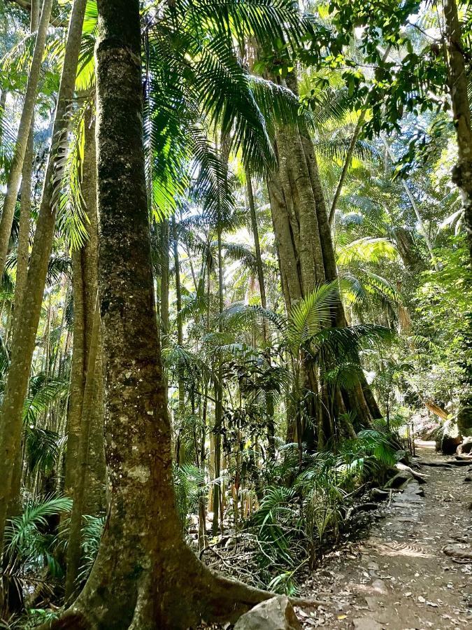 Mountain Studio Escape Mount Tamborine Esterno foto
